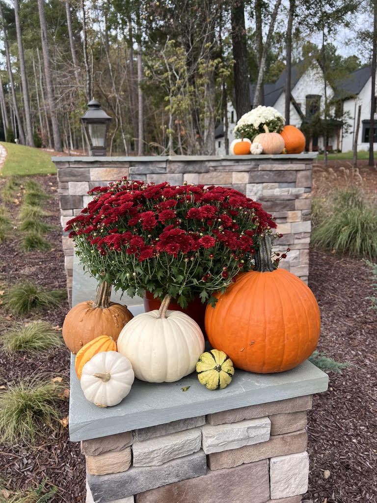 Extra mums add-on for fall porch displays