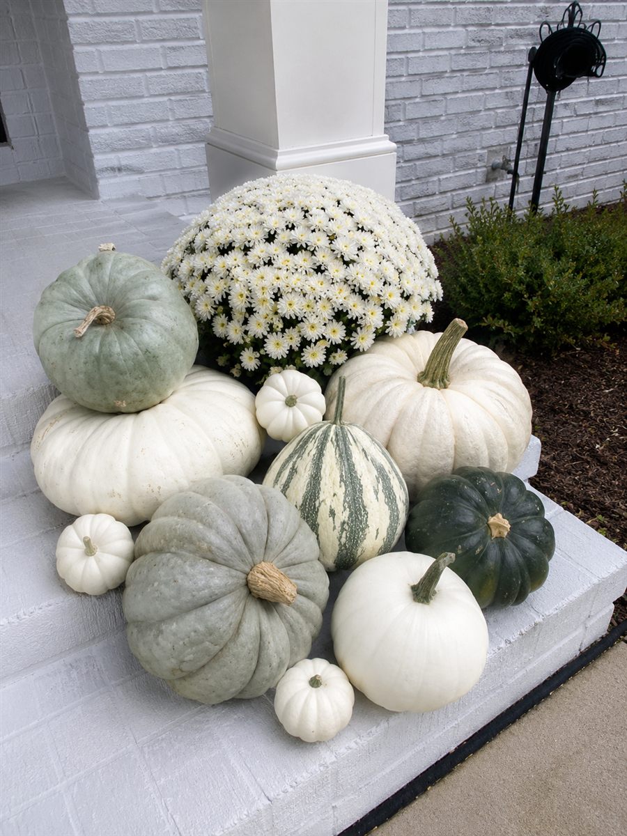 Sage and Ivory fall porch style with heirloom white and sage pumpkins and white mums